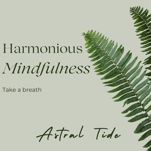 Harmonious Mindfulness