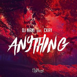 Anything (feat. Ckay)