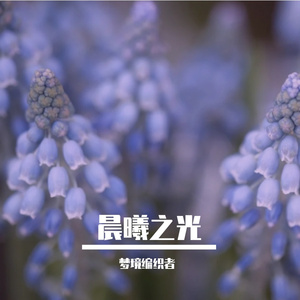 雨中的积水与伤悲