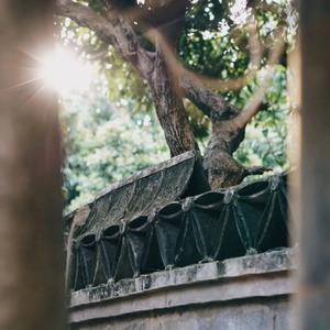 亲爱的你啊（cover 徐远书）