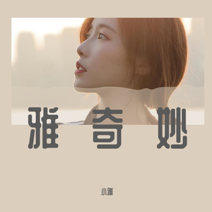 南锣巷驴肉火烧