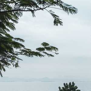 好眠胜补 (钢琴曲)