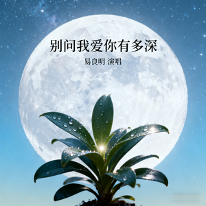 别问我爱你有多深