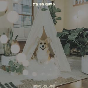 安静的放松的狗声音