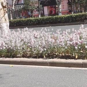 云慢风轻
