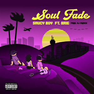 Soul Fade