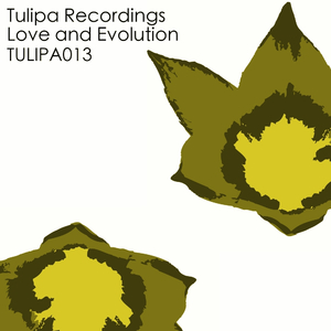 Take Me Higher (Original Mix)