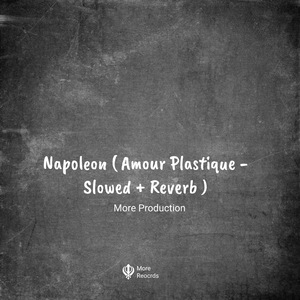 Napoleon (Amour Plastique - Slowed + Reverb)