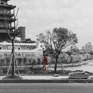 感官先生（翻自 嗨唱转起来）