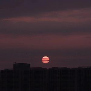 蒲公英的约定(翻自Jay )