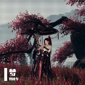 追光者(翻唱)刘林夕