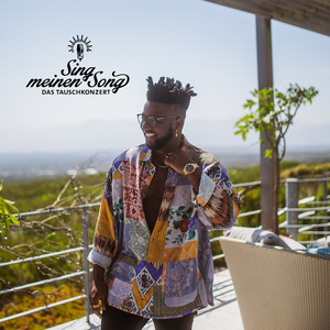 Blinde Passagiere (aus "Sing meinen Song, Vol. 9")