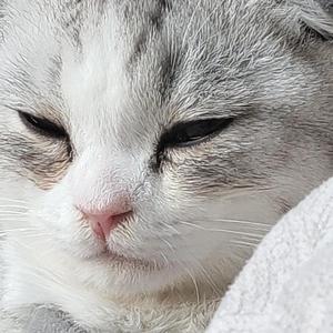 2022.04.19-16.39.53-下午~1