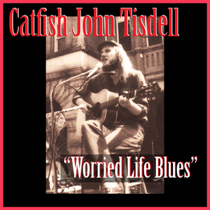 Worried Life Blues