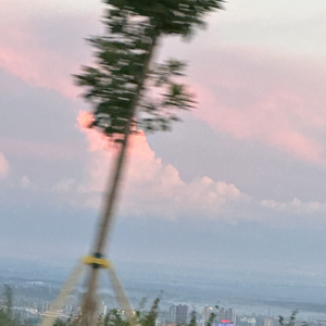 都市问题（Cover：Capper）