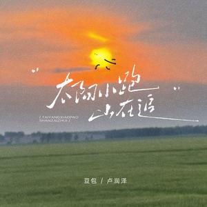 太阳小跑山在追（DJ阿卓版）