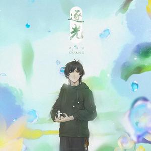 《逐光》——记《我五行缺你》（翻自 张杰）