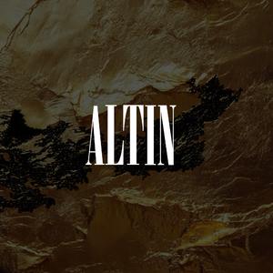 altın (feat. EFES286)