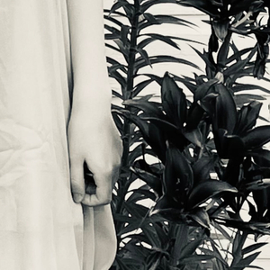 Bedlington Terrier Poop