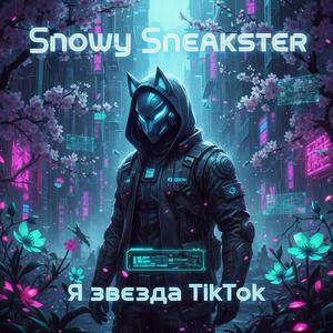 Я звезда TikTok