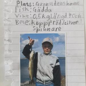 Herr Nyfiken