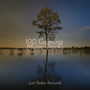 Cerulean Lullabies Under Moonlight