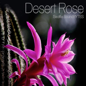 Desert Rose / Satrangi Re (feat. Jer Wallis & Revathi Murthy)