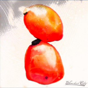 Basic, Boring, Stupid