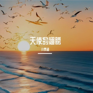 天使的翅膀