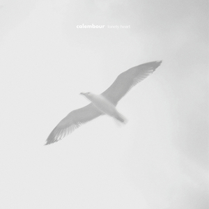 The Great Wilderness Calling