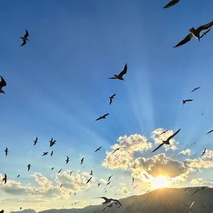 追寻梦想的远方(1)