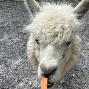 爱被具象化的时刻