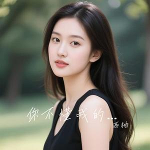 你不懂我的难过 (Cover 王优秀)