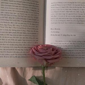 假装（深情男声）