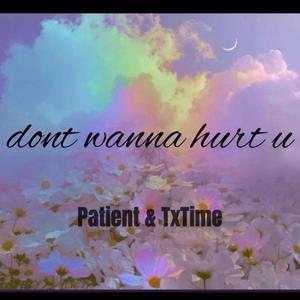 dont wanna hurt u (feat. Patient)