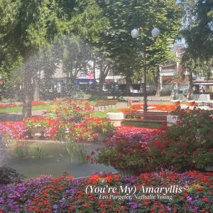 (You're My) Amaryllis