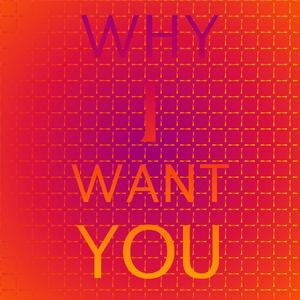 Why I Ain't Like She