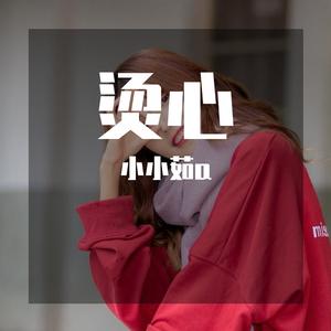 无悔爱过这一回 （0.8降调）