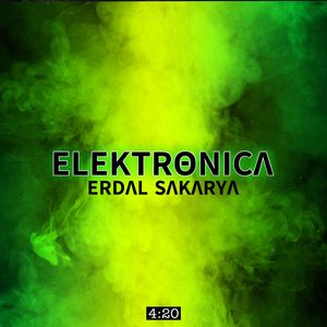 Elektronica