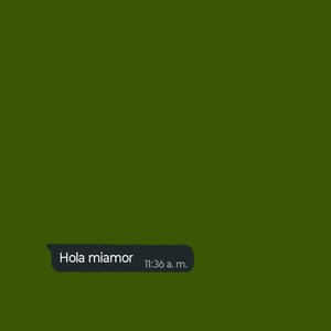 Holamiamor