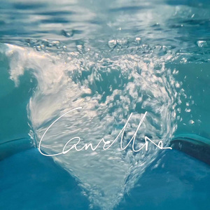 Camellia(demo verse2)''Prod.By Xiangyue''