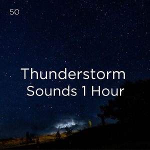 뇌우 소리