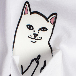 虚假&傲慢(伴奏)