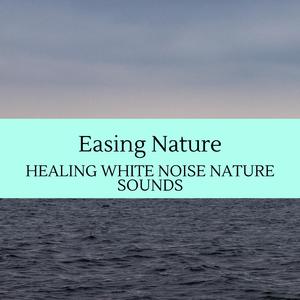 Incredible Creation of Bugs