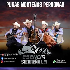 AMOR A LA LIGERA-ESENCIA SIERREÑA EN VIVO