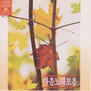 코스모스 피어있는 길