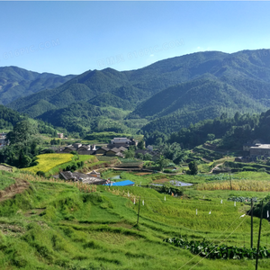 好听的乡村流行音乐2