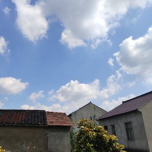 情迷意乱（Pord.by BlackCatBeats）