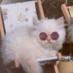 拉臭臭（翻自 贝瓦儿歌）