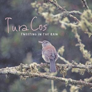 Tweeting in the Rain